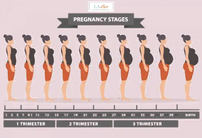 First Trimester (Weeks 1–12): Early Changes You Might Not Notice Worcester Park